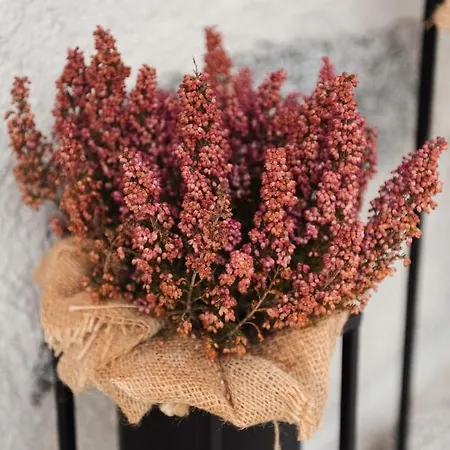 Pimont Alpine Chata